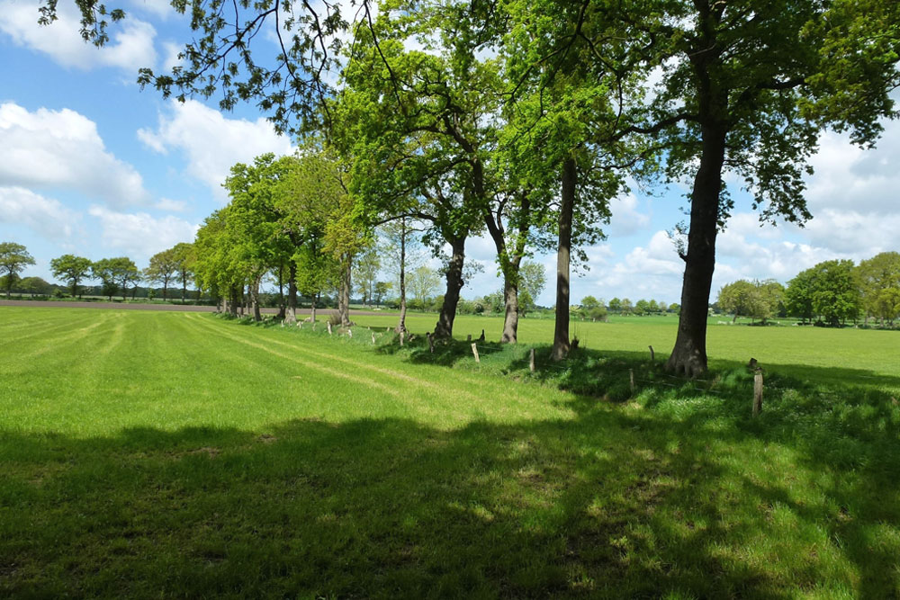 Foto zeigt Landschaftsaufnahme einer norddeutschen Wiesen/Ackerlandschaft | Stadt- und Landschaftsplanung