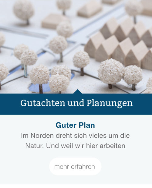 layout-bx-thema-05 Bild zeigt Modell einer Stadt- und Landschaftsplanung | Gutachten und Planung